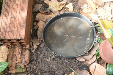 İçinde durgun su olan bir vazoda terk edilmiş plastik bir kase. Manzarayı kapat. Potansiyel üreme alanında sivrisinekler