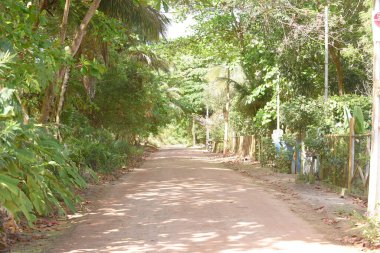 İçi durgun suyla dolu bir yerde terk edilmiş. Manzarayı kapat. Potansiyel üreme alanında sivrisinekler