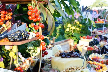 Masa peynirleri patiler yemek üzümleri ve salatalar açık büfe düğün süslemeleri çiçekler restoran yemek masası görüntülerini düzenler.