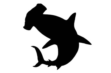 Şeffaf siyah beyaz mocup üzerinde çekiç başlı köpekbalığının vektör görüntüsü.