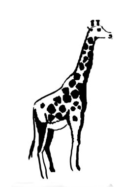 Zürafa siluetinin siyah ve beyaz vektör görüntüsü vahşi hayvan portresi, güzellik, vücut çizgisi sanatı. Broşür şablonu ya da web tasarımı resimlerinde kullanmak için