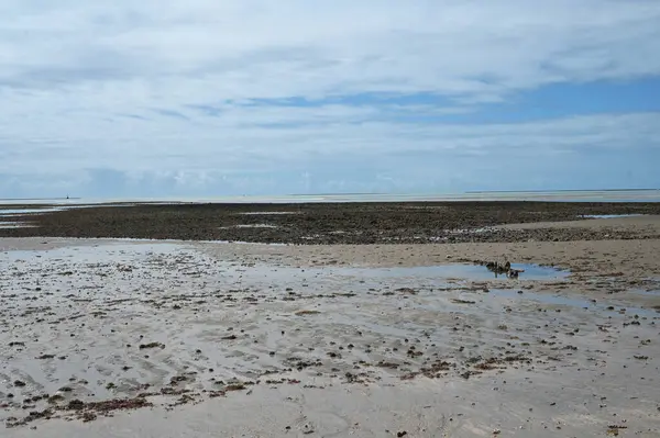 Sahil kıyısı, Atlantik okyanusu güneşli bir gün, doğal güzellik, Bahia Brezilya tatili.