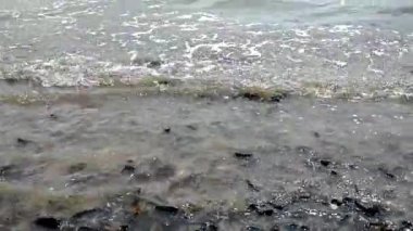 Sahil kıyısı, Atlantik okyanusu güneşli bir gün, doğal güzellik, Bahia Brezilya tatili.