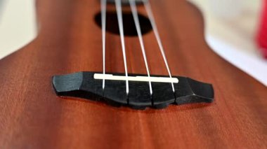 çocuk perküsyonu müzik aleti eğitici oyuncak