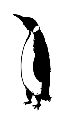 Vahşi hayvan portresi, güzellik, vücut çizgisi sanatının siyah ve beyaz vektör görüntüsü. Broşür şablonu ya da web tasarım resmi olarak kullanmak için