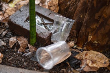 Durgun su salgını. Muhtemel sivrisinekler. Aedes aegypti çoğalması, dang humması, chikungunya, zika virüsü, sivrisinek larvası hastalığı.