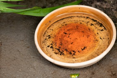 Durgun su salgını. Muhtemel sivrisinekler. Aedes aegypti çoğalması, dang humması, chikungunya, zika virüsü, sivrisinek larvası hastalığı.