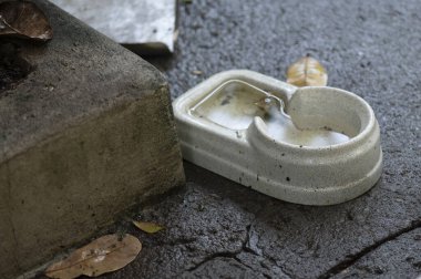 Durgun su salgını. Muhtemel sivrisinekler. Aedes aegypti çoğalması, dang humması, chikungunya, zika virüsü, sivrisinek larvası hastalığı.