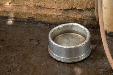 Durgun su salgını. Muhtemel sivrisinekler. Aedes aegypti çoğalması, dang humması, chikungunya, zika virüsü, sivrisinek larvası hastalığı.