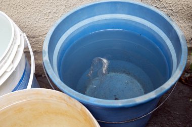 Durgun su salgını. Muhtemel sivrisinekler. Aedes aegypti çoğalması, dang humması, chikungunya, zika virüsü, sivrisinek larvası hastalığı.