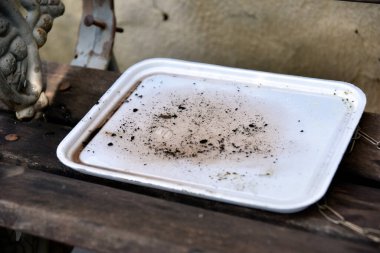 İçinde durgun su olan terk edilmiş bir kase. Manzarayı kapat. Potansiyel üreme alanlarında sivrisinekler