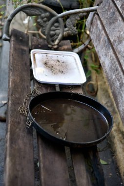 İçinde durgun su olan terk edilmiş bir kase. Manzarayı kapat. Sivrisinekler potansiyel üreme bölgelerinde çoğalıyor. Sivrisineklerin çoğalması aedes aegypti, dang, chikungunya, zika virüsü