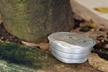 İçinde durgun su olan bir vazoda terk edilmiş plastik bir kase. Manzarayı kapat. Sivrisinekler üreme potansiyeline sahip..