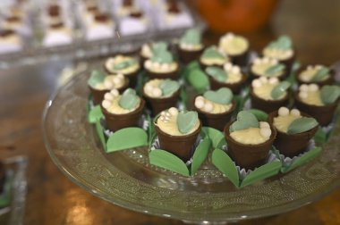 Parti tatlıları Brigadeiros çikolata partisi dekorasyonu yüksek kalorili yiyecekler