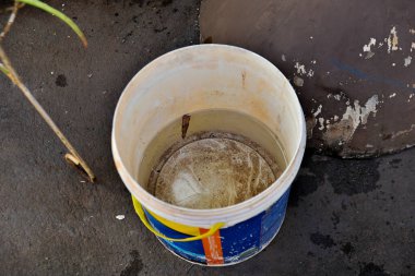 İçinde durgun su olan bir vazoda terk edilmiş plastik bir kase. Manzarayı kapat. Aedes aegypti dang chikungunya zika virüsü sivrisineklerinin çoğalması potansiyeli olan sivrisinekler..