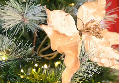 Noel Baba 'nın çiçekleri. Kar, bulanık bölge bayramı hediyeleri. Görüntü, Noel ağacı düzenliyor.