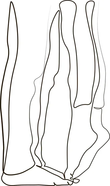 One Continuous Line Drawing Legs Kissing Couple Abstract Linear Silhouette — ストック写真