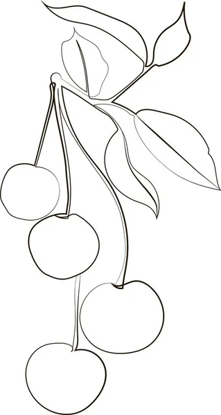 One Single Line Drawing Whole Healthy Organic Cherries Orchard Logo — ストック写真