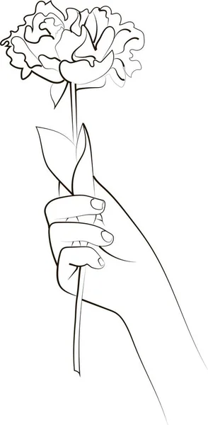 Linje Ritning Hand Innehav Ros Eller Pion Blomma Minimalistisk Illustration — Stockfoto