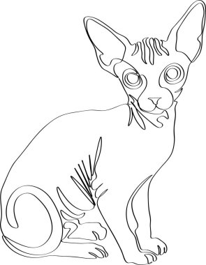 Tek bir çizim çizgisi düz kedi yavrusu, güzel, evcil hayvan, arka plan, hayvan, genç, deri, kedi, sfenks, tüysüz. Beyaz bir arkaplanda izole edilmiş resim çizimi konumu