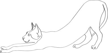 Devamlı kedi-kedi çizimi. Siyah çizgi kedisi beyaz arka planda kendini gerer.