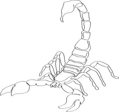 Scorpion tek çizgi çizimi, devam ediyor