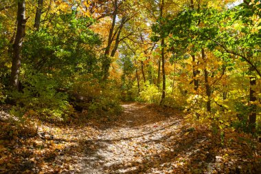 Matthiessen Eyalet Parkı, Illinois, ABD 'de yürüyüş ve sonbahar manzarası.