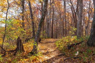 Güzel bir sonbahar sabahı Açlık çeken Rock State Park 'ın batı ucunda yürüyüş yapmak..