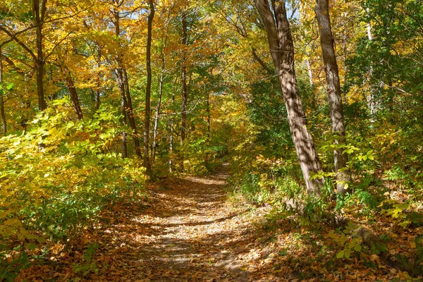 Пешеходная Тропа Осенний Пейзаж Matthiessen State Park Illinois Usa — стоковое фото
