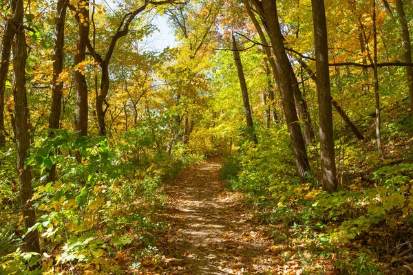 Turistická Stezka Podzimní Krajina Matthiessen State Park Illinois Usa — Stock fotografie