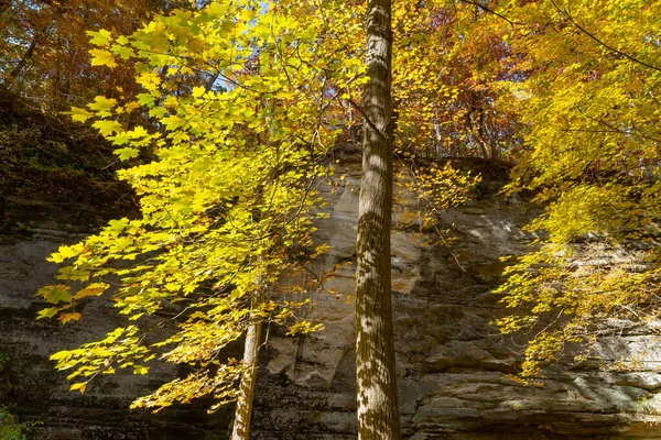 美国伊利诺伊州伊利诺伊州州立公园的伊利诺伊州峡谷秋季风景 — 图库照片