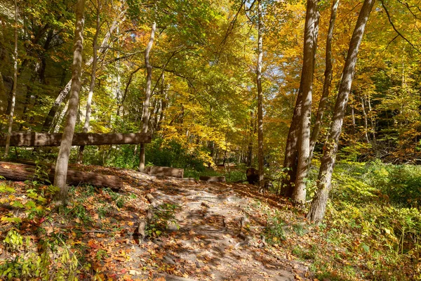 Podzimní Krajina Illinois Canyon Starved Rock State Park Illinois Usa — Stock fotografie