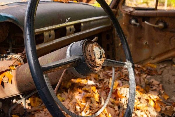 stock image Old rusted car in the woods in LaSalle County, Illinois, USA.