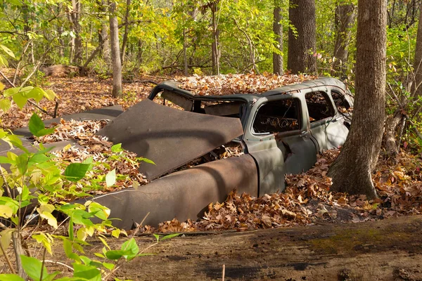 米国イリノイ州ラサール郡の森の中に古い錆びた車 ストック写真