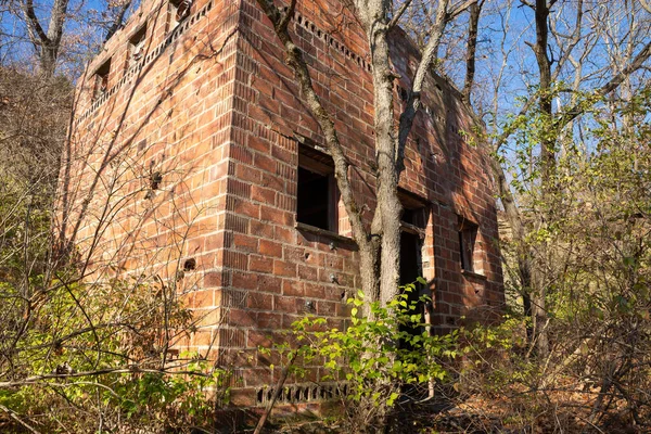 美国伊利诺伊州Twin Bluffs废弃城镇的最后剩余建筑 — 图库照片