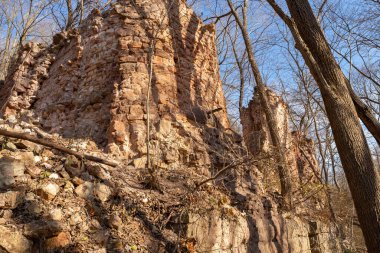 Pecumsaugan Deresi 'ndeki eski tuğla ocakları ve Kuzey Utica, Illinois' deki Blackball Madenleri Doğa Koruma Alanı 'ndaki terk edilmiş kalıntılar..