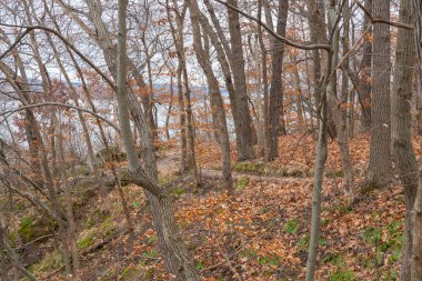 The Bluff Trail on a cloudy Winter morning.  Starved Rock State Park, Illinois, USA.