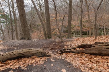The Bluff Trail on a cloudy Winter morning.  Starved Rock State Park, Illinois, USA.