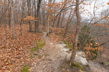 The Bluff Trail on a cloudy Winter morning.  Starved Rock State Park, Illinois, USA.