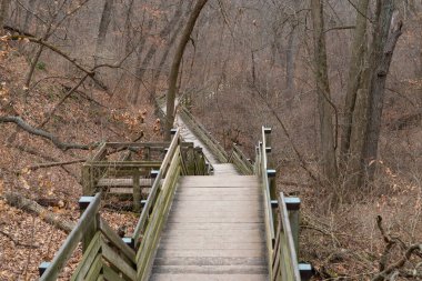 Wooden walkway in Starved Rock State Park, Illinois, USA.