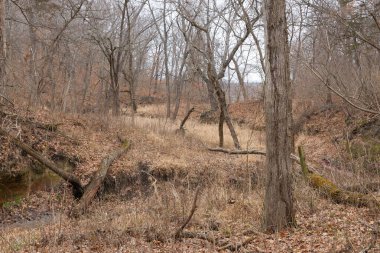 Winter landscape at Starved Rock State Park, Illinois, USA.