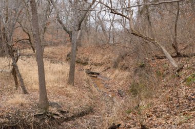 Winter landscape at Starved Rock State Park, Illinois, USA.