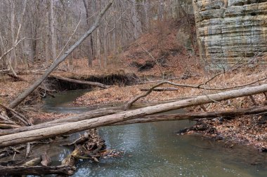 Water flowing down Illinois Canyon on a Winter morning.  Starved Rock State Park, Illinois, USA.