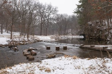 Karlı bir kış sabahı White Pines Ormanı Eyalet Parkı 'nda Pine Creek. Ogle County, Illinois, ABD.