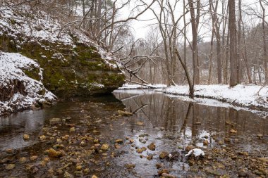 Karlı bir kış sabahı White Pines Ormanı Eyalet Parkı 'nda Pine Creek. Ogle County, Illinois, ABD.