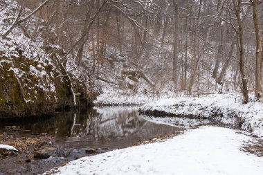 Karlı bir kış sabahı White Pines Ormanı Eyalet Parkı 'nda Pine Creek. Ogle County, Illinois, ABD.