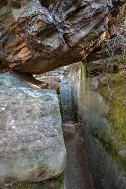 ABD, Illinois 'deki Giant City State Park' taki kumtaşı kayalıklarından geçen doğa izleri..