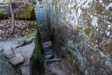 ABD, Illinois 'deki Giant City State Park' taki kumtaşı kayalıklarından geçen doğa izleri..