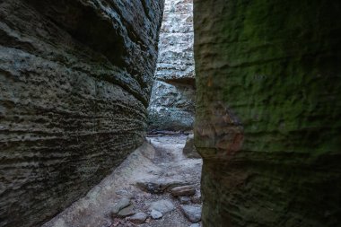 ABD, Illinois 'deki Giant City State Park' taki kumtaşı kayalıklarından geçen doğa izleri..