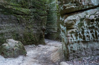 ABD, Illinois 'deki Giant City State Park' taki kumtaşı kayalıklarından geçen doğa izleri..